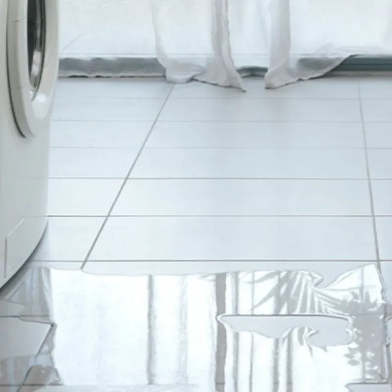 Appliance Leak Cleanup in Osceola, WI