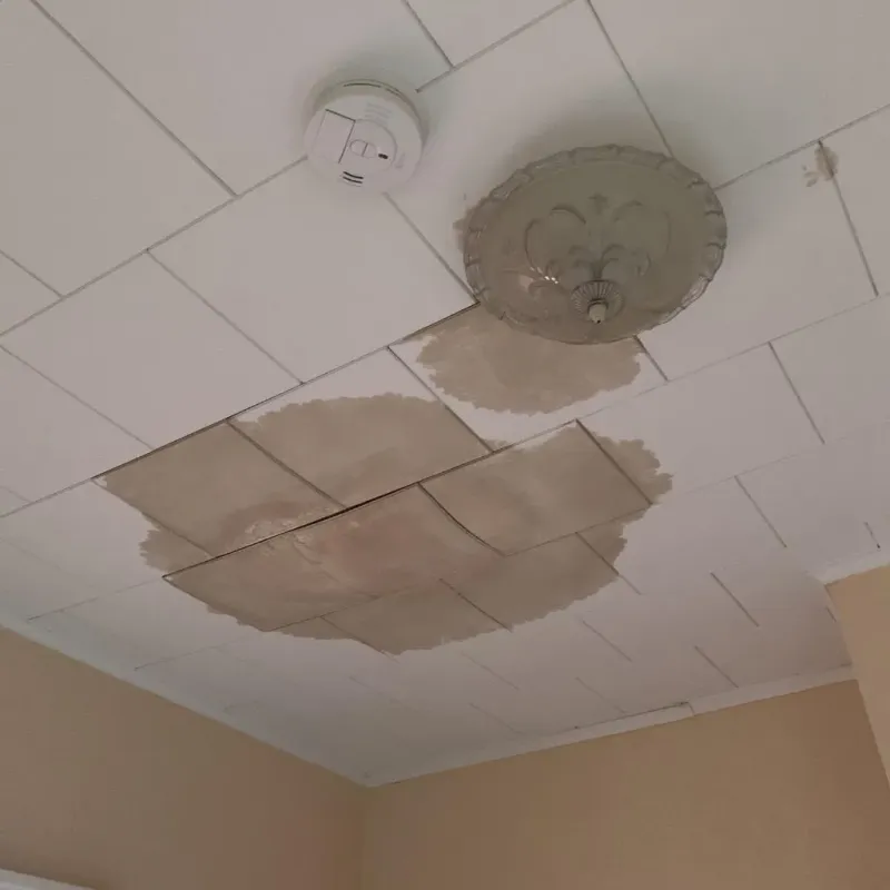 Ceiling Water Damage Repair in Osceola, WI