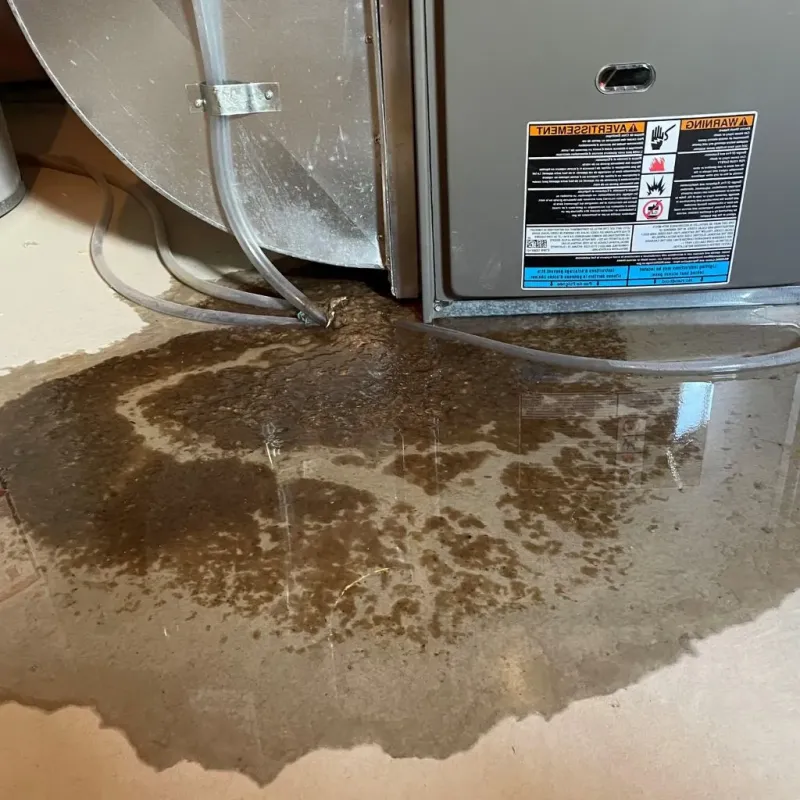 Pipe Burst and Leak Restoration in Osceola, WI